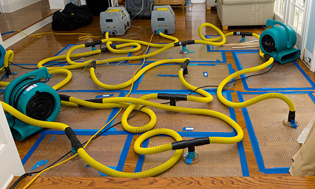 Professional Water Damage Repair technician working in Woodville, MS